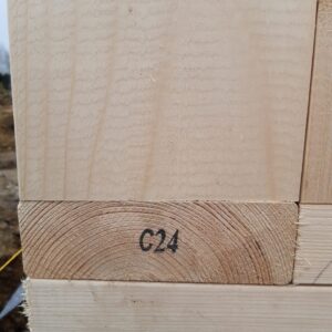 173536615_2337171643103716_6811677963576284370_n